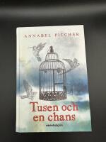 Tusen och en chans