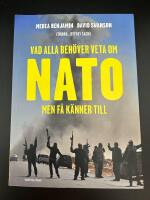 Vad alla beh&ouml;ver veta om Nato