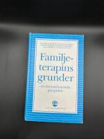 Familjeterapins grunder : Ett interaktionistiskt perspektiv