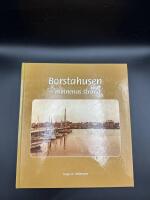 Borstahusen : minnenas strand