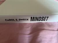 Mindset : du blir vad du t&auml;nker
