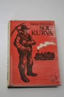 Solkurva: en roman om m&auml;nniskors f&ouml;rs&ouml;k att n&aring; varandra