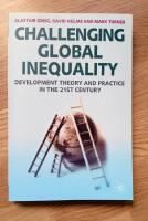 Challenging Global Inequality : Development Theory and Practice in the 21st Century