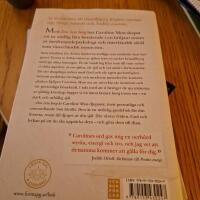 Din inre borg : en resa till djupet av din sj&auml;l