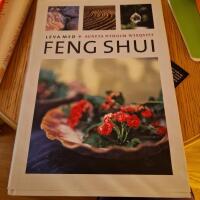 Leva med feng shui