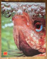 Macrovision - Lettre de Paris