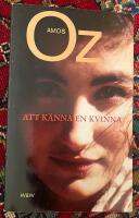 Att k&auml;nna en kvinna