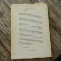 I konstens br&auml;nnspegel. Fr&aring;n impressionismens konst till diktaturernas