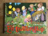 Ett trollbr&ouml;llop