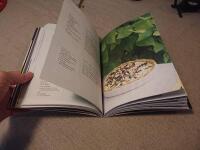 Vegetariskt : mat fr&aring;n Tr&auml;dg&aring;rdscaf&eacute;et Slottstr&auml;dg&aring;rden Ulriksdal