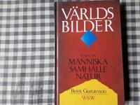 V&auml;rldsbilder : Synen p&aring; m&auml;nniska, samh&auml;lle, natur
