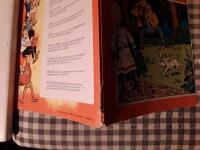 Hundarnas paradis Finn och Fiffi