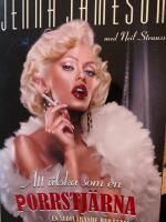 Att &auml;lska som en porrstj&auml;rna - en sedel&auml;rande ber&auml;ttelse