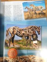 Ripleys Det otroliga... avsl&ouml;jat!