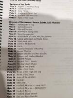 Dog Anatomy: A Coloring Atlas