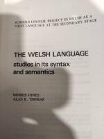 The  Welsh Language - Studies in its Syntax and Semantics
