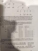 The  Welsh Language - Studies in its Syntax and Semantics