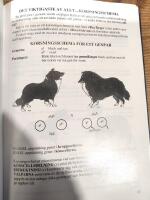 Svenska Shetland Sheepdog klubbens handbok 1990