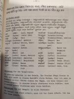 Lehrbuch des Bengalischen