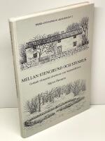 Mellan stengrund och stenhus : Gotlands vikingatida silverskatter som boplatsindikation