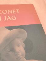 Falconet och jag : ett samtal med figurinen