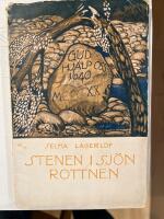 Stenen i sj&ouml;n Rottnen