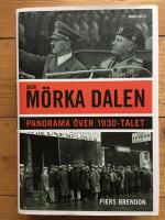 Den m&ouml;rka dalen : Panorama &ouml;ver 1930-talet