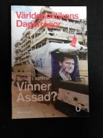 Syrien i spillror. Vinner Assad?