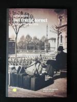 Det tredje tornet. En resa i Italien 1936.