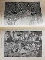 Barnav&auml;nnen 1901. Illustrerad veckotidning f&ouml;r de sm&aring;.