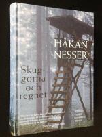 Skuggorna och regnet