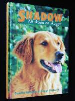 Shadow. Att skapa en skugga.