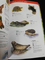 Naturguiden. En praktisk v&auml;gvisare till v&aring;rt lands v&auml;xter och djur.