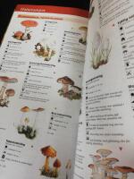 Naturguiden. En praktisk v&auml;gvisare till v&aring;rt lands v&auml;xter och djur.