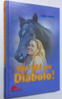 Diabolo 4: Var r&auml;dd om Diabolo!