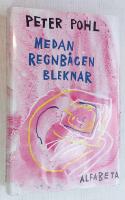 Medan regnbågen bleknar