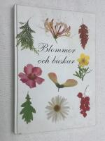 Blommor och buskar