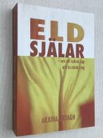 Eldsj&auml;lar. Om att vakna upp och ta n&auml;sta steg.