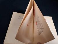 N&auml;r Jesus kom till &Ouml;stersund. En spegelbild af Stefanus Eremita.