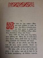 N&auml;r Jesus kom till &Ouml;stersund. En spegelbild af Stefanus Eremita.