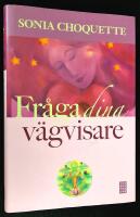 Fr&aring;ga dina v&auml;gvisare