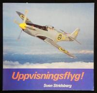 Uppvisningsflyg!