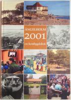 &Auml;ngelholm 2001. En hembygdsbok.