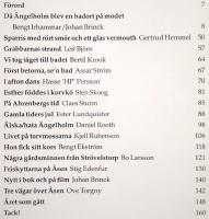 &Auml;ngelholm 2001. En hembygdsbok.
