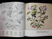 Brodera v&auml;xter i korsstygn. Kryddor och medicinalv&auml;xter. 