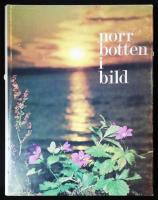 Norrbotten i bild