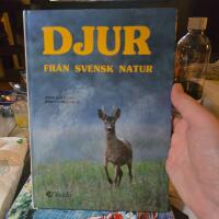 Djur fr&aring;n svensk natur