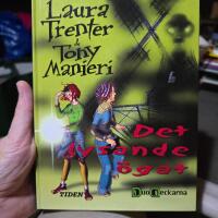 Det lysande &ouml;gat