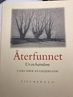 &Aring;terfunnet : ur en barndom
