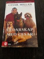 Ledarskap med Cesar